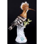 Meissen Wiedehopf Vogel 1.Wahl, hoopoe bird 1st choice,