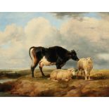 Thomas Sidney Cooper (1803-1902) grasende Kuh und Schafe 1890, grazing cow and sheep,