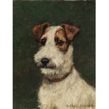 Maximilian Klein von Diepold (1873-1949) Portrait eines Foxterriers, fox terrier dog portrait,