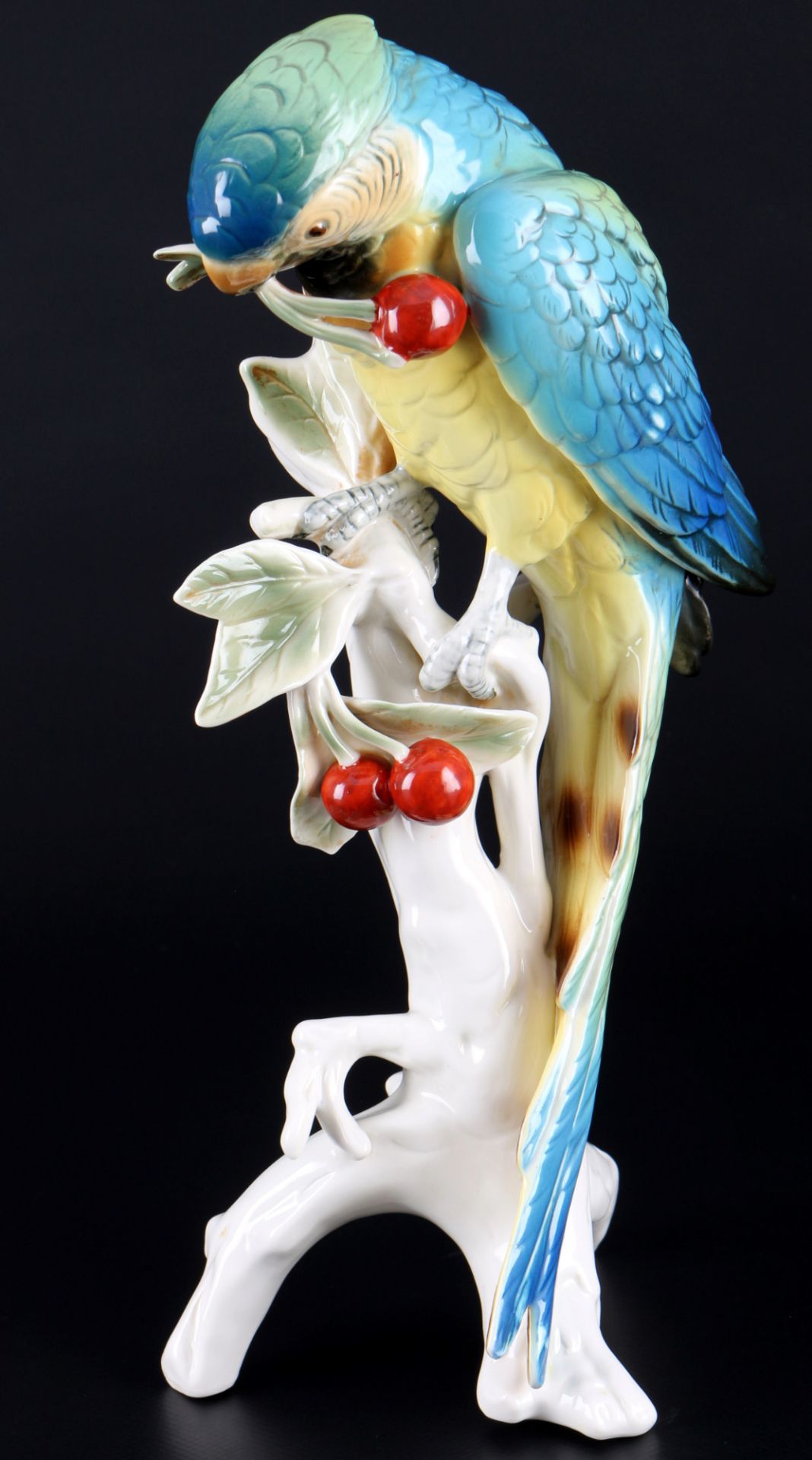 Karl Ens großer Ara Papagei mit Kirschen, Volkstedt, parrot with cherries,