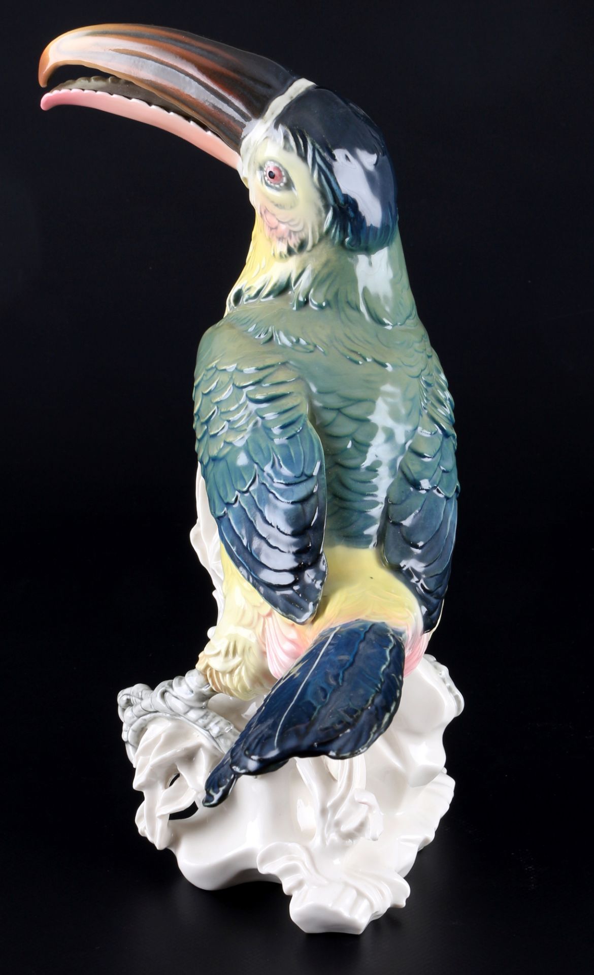 Karl Ens großer Tukan, toucan, - Bild 4 aus 6