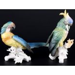 Karl Ens großer Kakadu und Ara Papagei, Volkstedt, porcelain parrot cockatoo,