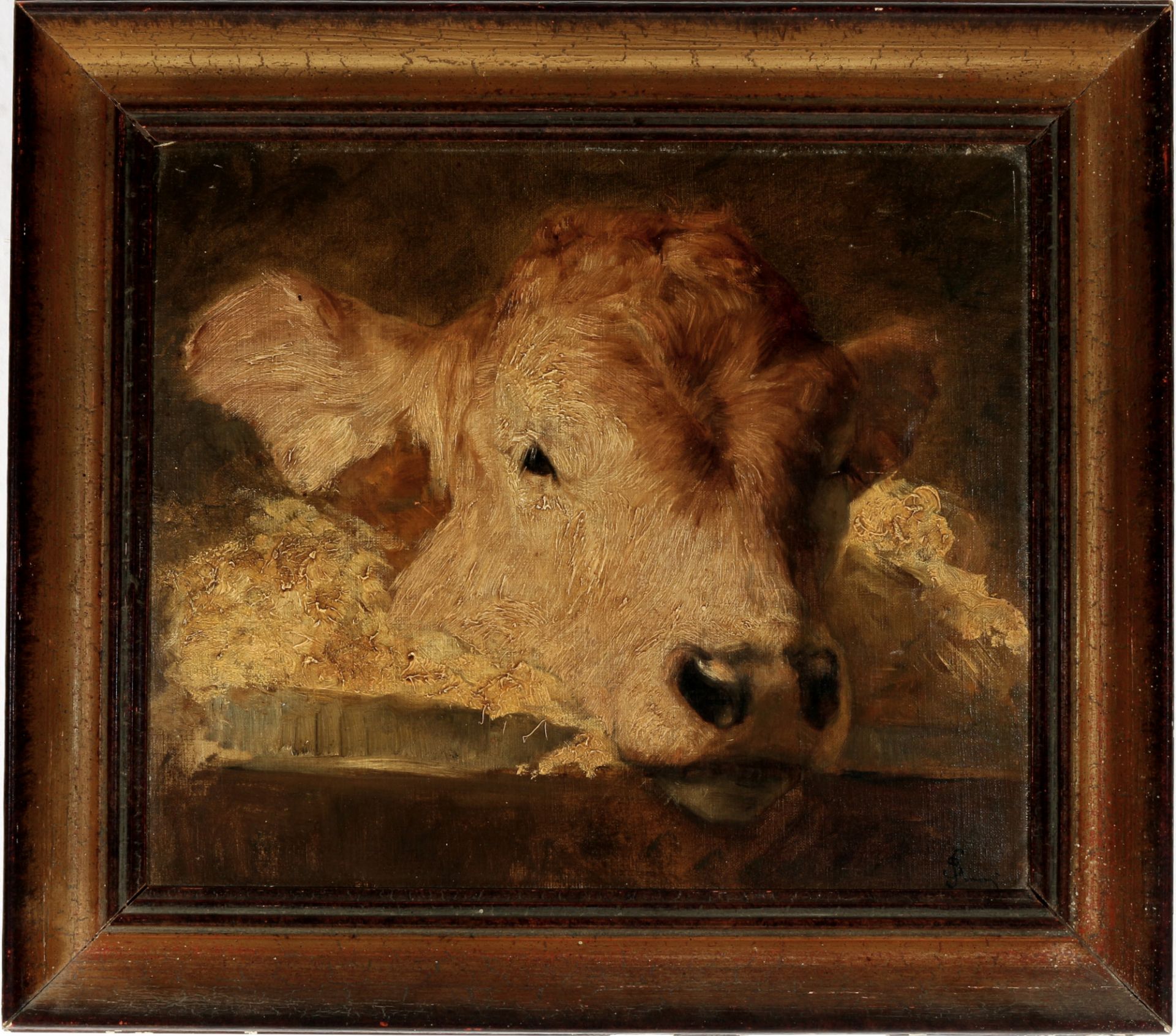 Wiener Maler 19. Jahrhundert Kalbskopf, signiert Simoni, vienna painter 19th century calf's head sig - Bild 2 aus 6