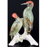 Karl Ens großes Grünspechtpaar, Volkstedt, pair of green woodpeckers,