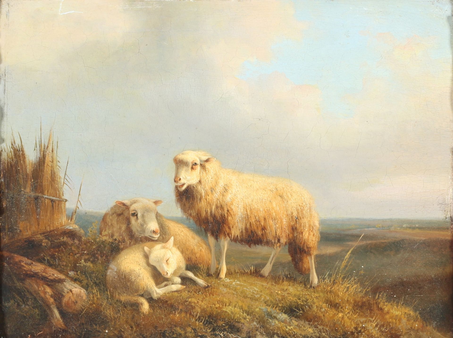 August Knip (1819-1859) resting sheep with lamb, rastende Schafe mit Lamm,