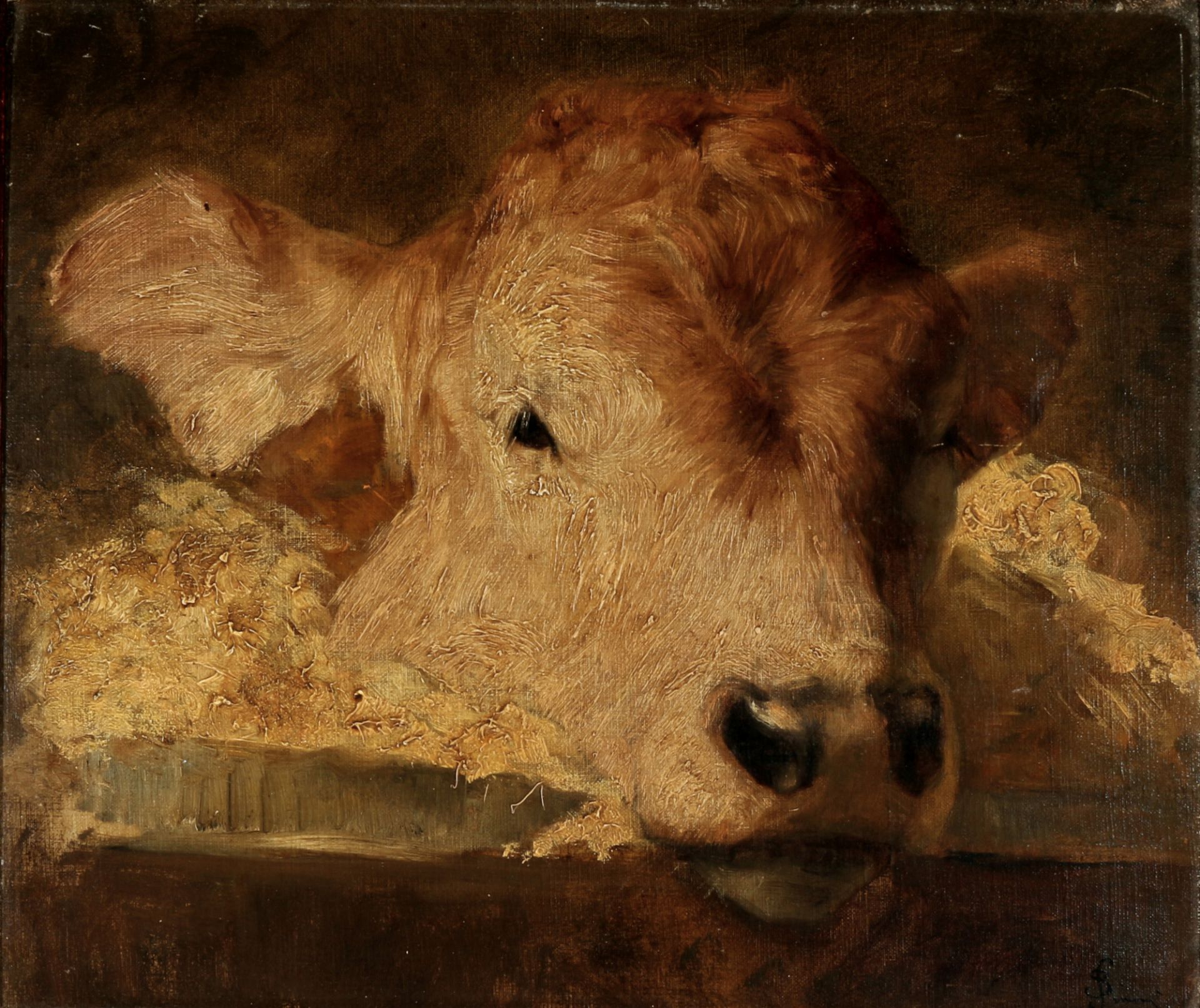 Wiener Maler 19. Jahrhundert Kalbskopf, signiert Simoni, vienna painter 19th century calf's head sig