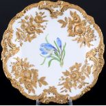 Meissen Blume Prunkschale 1. Wahl, Pfeifferzeit, splendor bowl 1st choice,