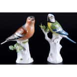 Meissen Vögel Buchfink und Blaumeise 1.Wahl, bird chaffinch and bluetit 1st choice,