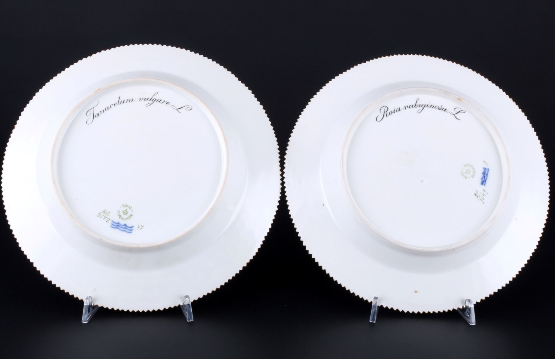 Royal Copenhagen Flora Danica 2 Speiseteller 3549, dinner plates 1st choice, - Bild 4 aus 5