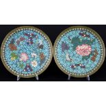 China Paar Cloisonne Teller 19./20. Jahrhundert, chinese pair of cloisonne plates 19./20. century,