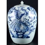 China großer Ingwertopf Qing Dynasty, large chinese ginger jar,