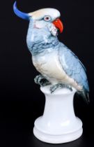 Karl Ens großer Kakadu, Volkstedt, porcelain cockatoo,