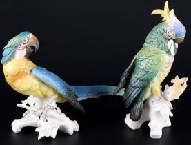 Karl Ens großer Kakadu und Ara Papagei, Volkstedt, porcelain parrot cockatoo,