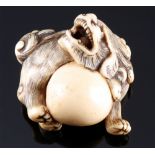 Japan 18th/19th Century, ivory Katabori-Netsuke Shishi with ball, Edo period,