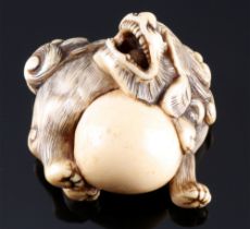 Japan 18th/19th Century, ivory Katabori-Netsuke Shishi with ball, Edo period,