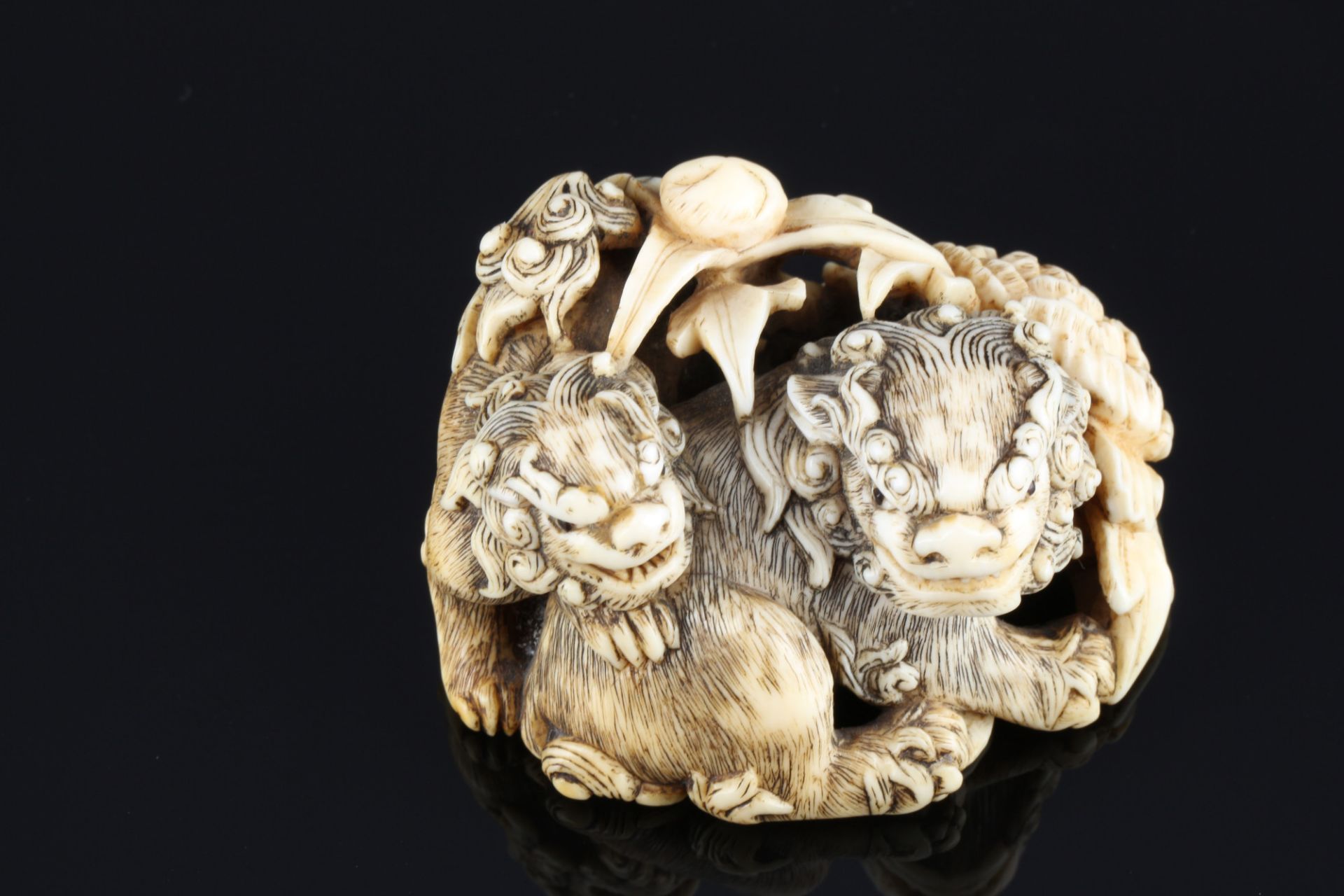 Japan 18th century, ivory Himotoshi Katabori Nezsuke Shishi pair, Edo period, - Image 6 of 8