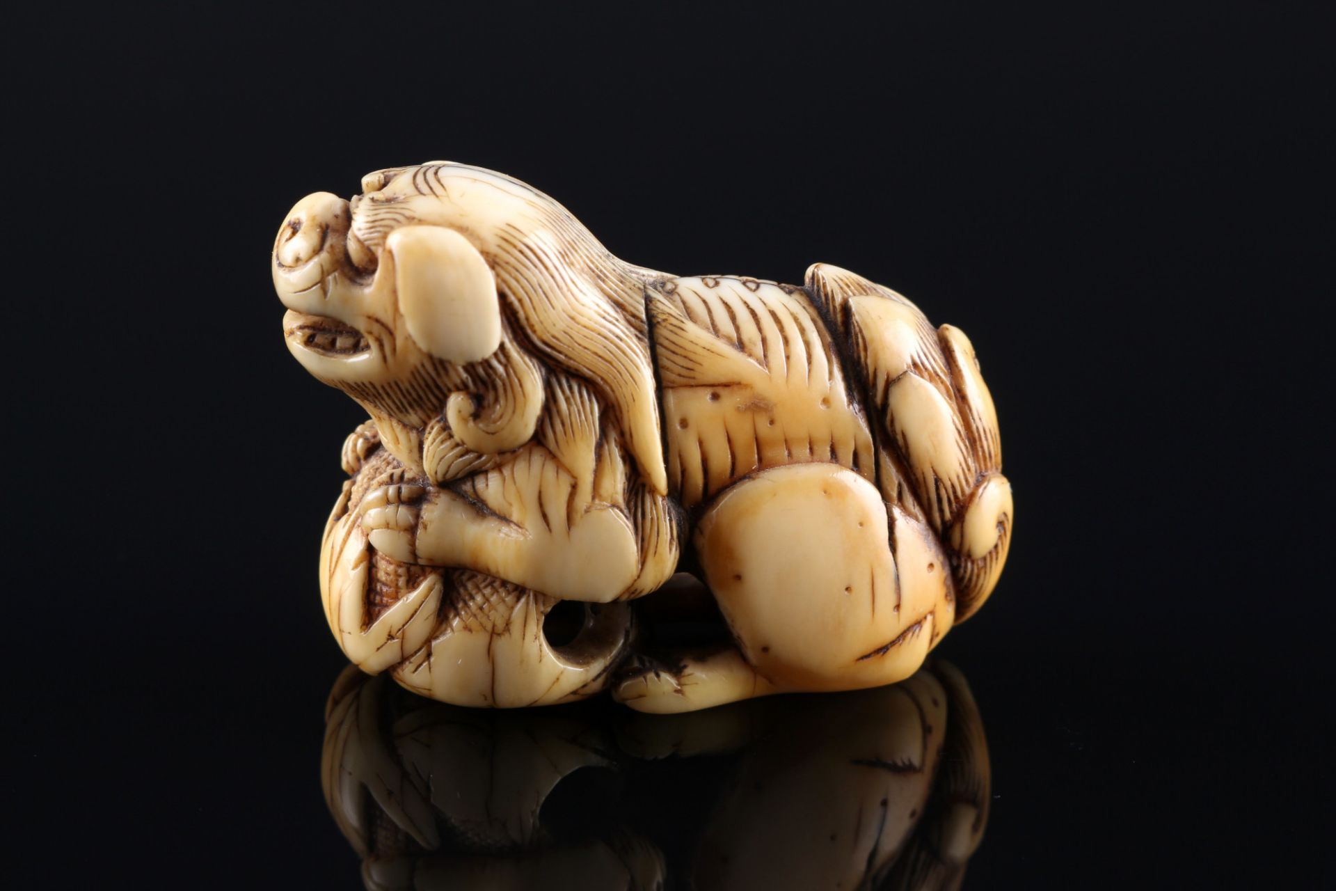 Japan 18th century, ivory Katabori-Netsuke Shishi with flower, Edo period, - Image 3 of 7