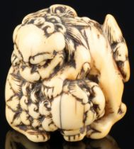 Japan 18th century, Ivory Katabori-Netsuke shishi pair, Edo period,