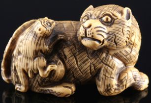 Japan 19th/20th Century, ivory netsuke tiger with young, signed, Meiji period,
