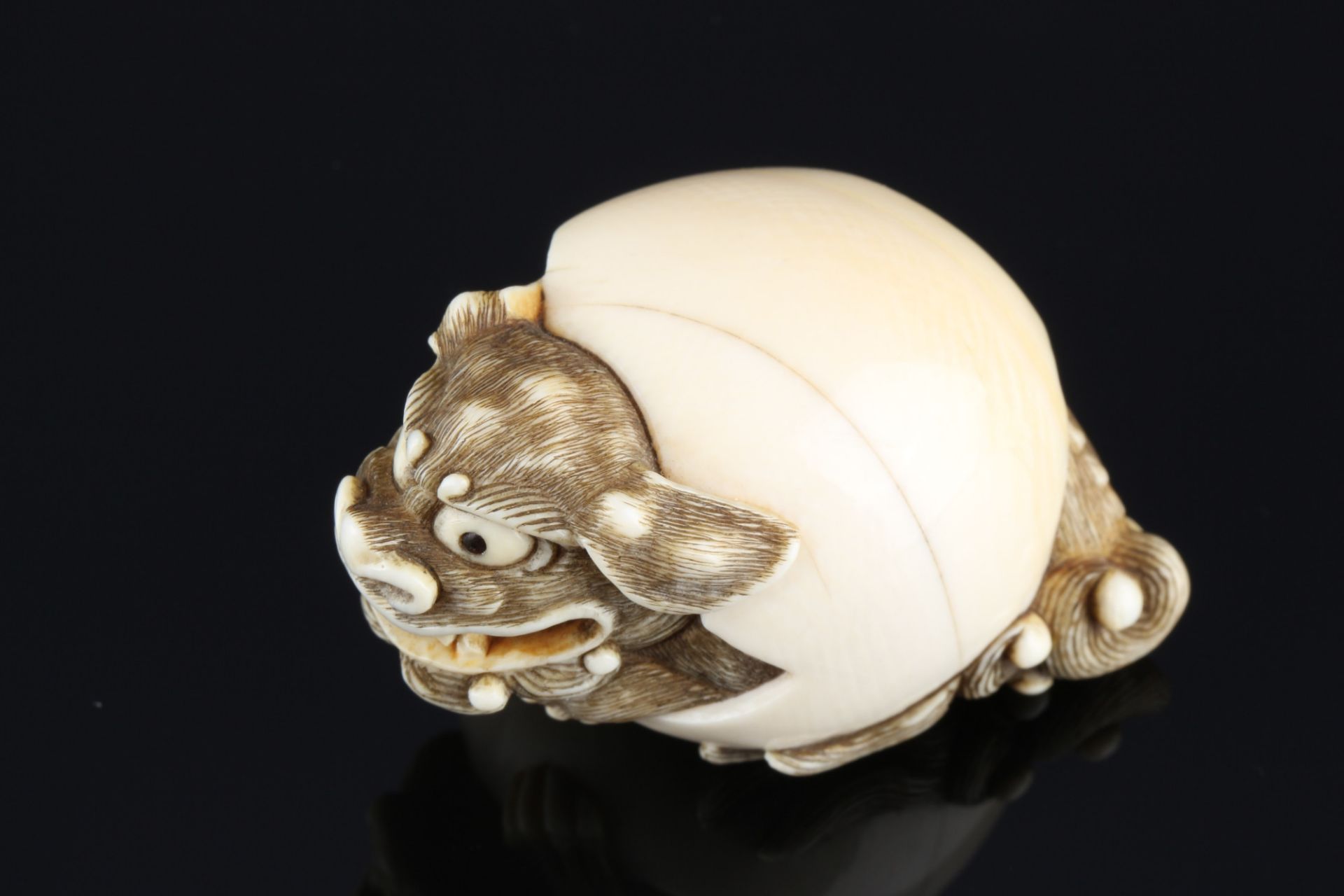 Japan 18th/19th Century, ivory Katabori-Netsuke Shishi in the ball, Meiji period, - Image 6 of 7