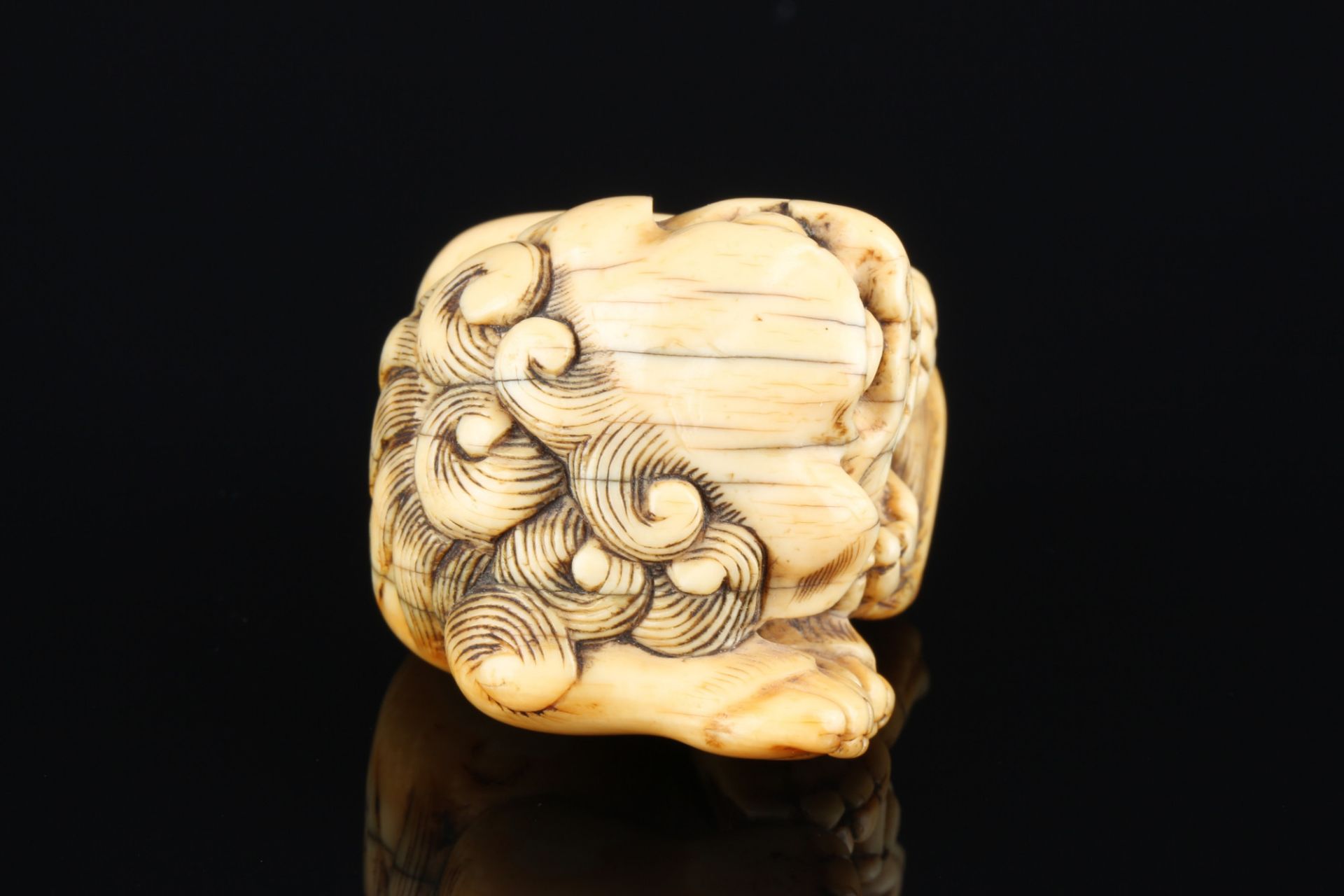 Japan 18th century, ivory Katabori Netsuke Shishi lying, Edo period, - Image 4 of 7