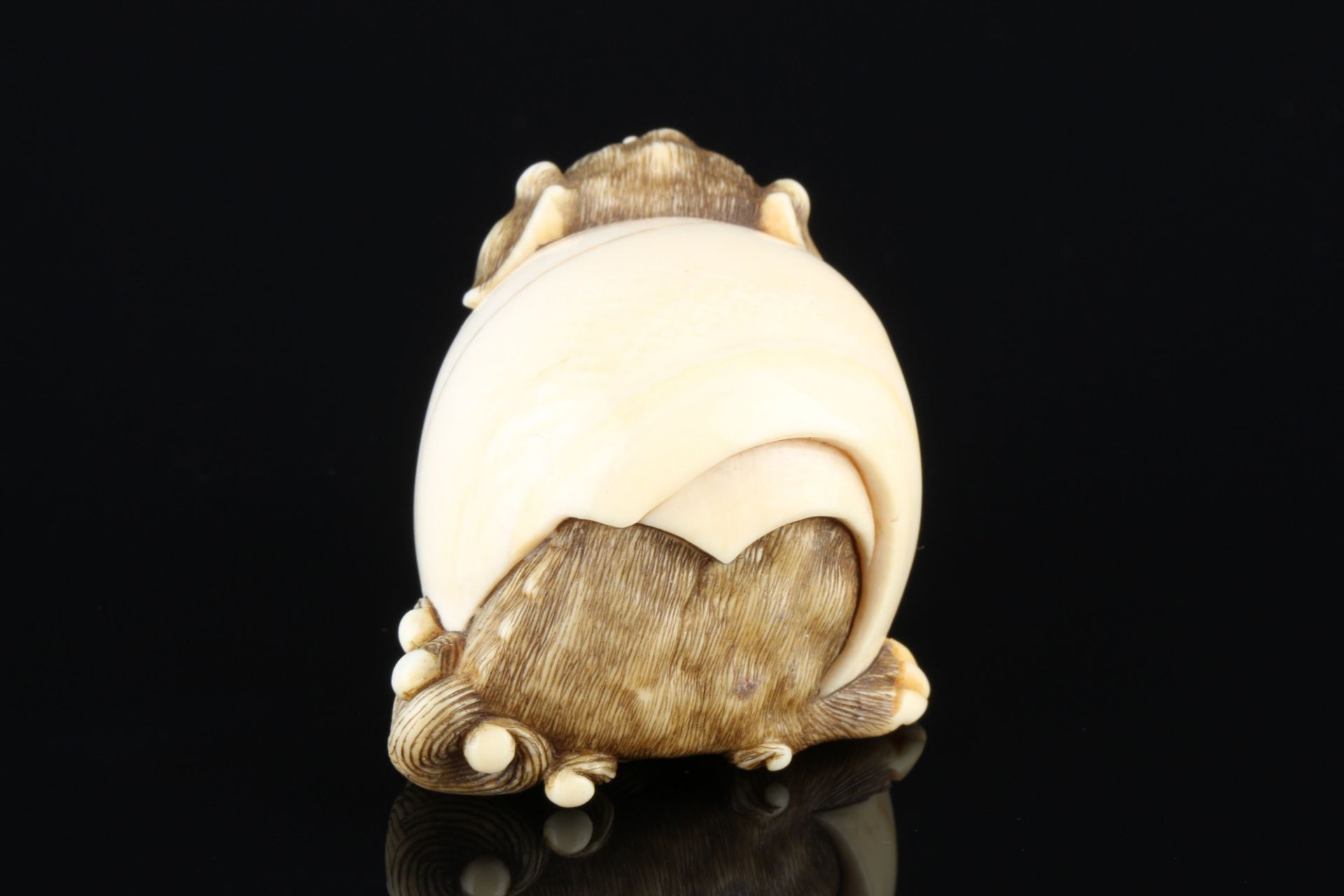 Japan 18th/19th Century, ivory Katabori-Netsuke Shishi in the ball, Meiji period, - Image 3 of 7