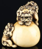 Japan 18th/19th Century, ivory shishi with young, Edo period,