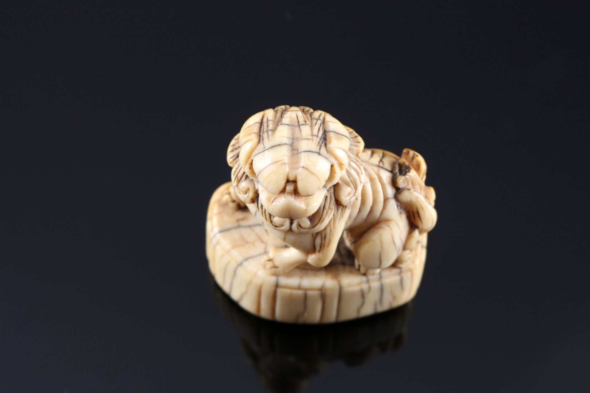 Japan 18th century, ivory netsuke shishi on base, Edo period, - Image 6 of 7