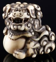 Japan 18th/19th Century, ivory Katabori-Netsuke Shishi with ball, Edo period,