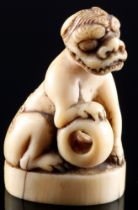 Japan 18th century, ivory netsuke shishi, Edo period,