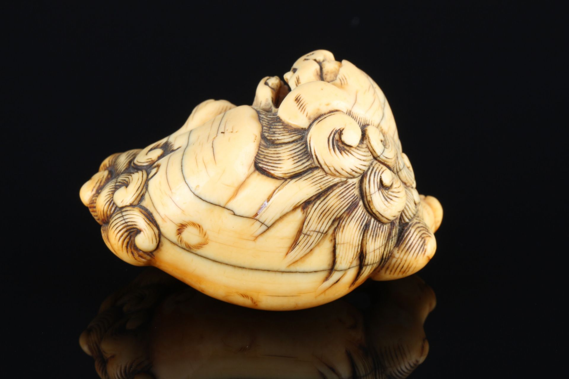 Japan 18th century, ivory Katabori Netsuke Shishi lying, Edo period, - Image 3 of 7