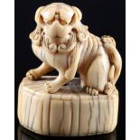 Japan 18th century, ivory netsuke shishi on base, Edo period,