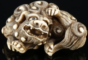 Japan mid-19th century, Ivory Netsuke Shishi, Meiji period,