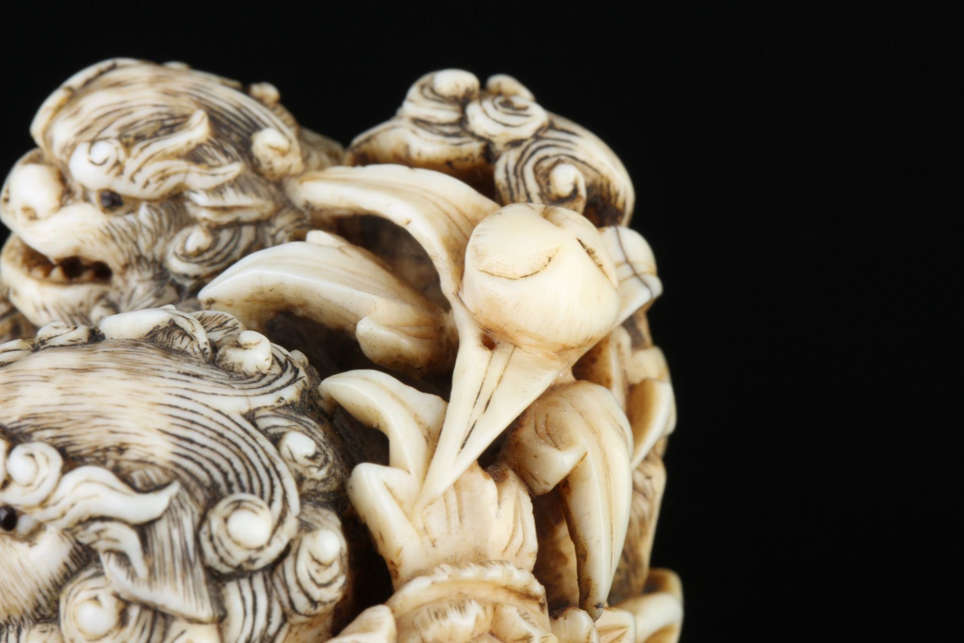 Japan 18th century, ivory Himotoshi Katabori Nezsuke Shishi pair, Edo period, - Image 7 of 8