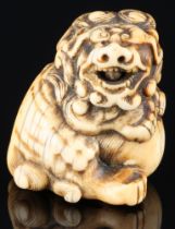 Japan 18th century, ivory Katabori Netsuke Shishi with ball, Edo period,