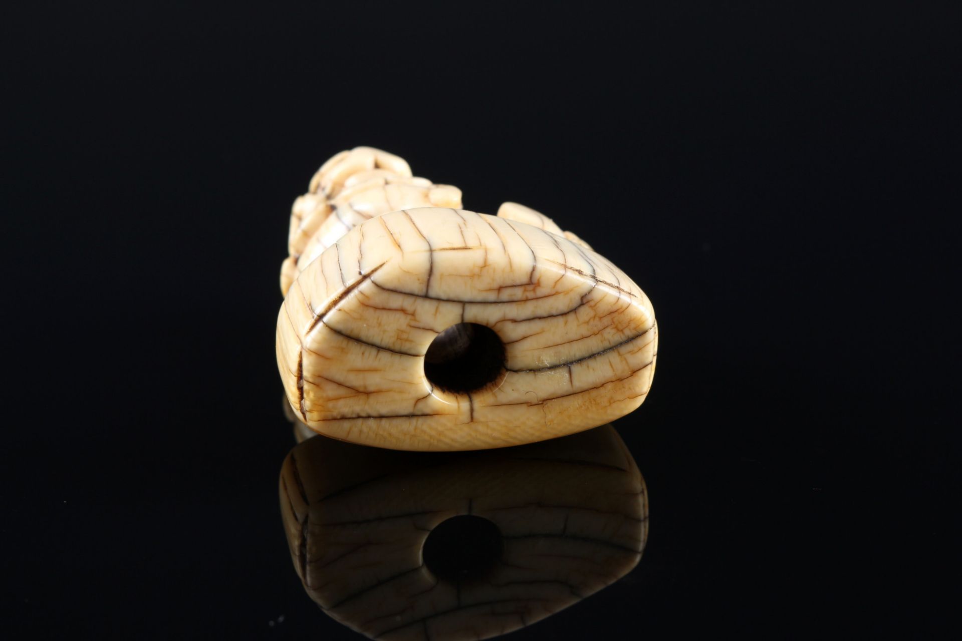 Japan 18th century, ivory netsuke shishi on base, Edo period, - Image 5 of 7