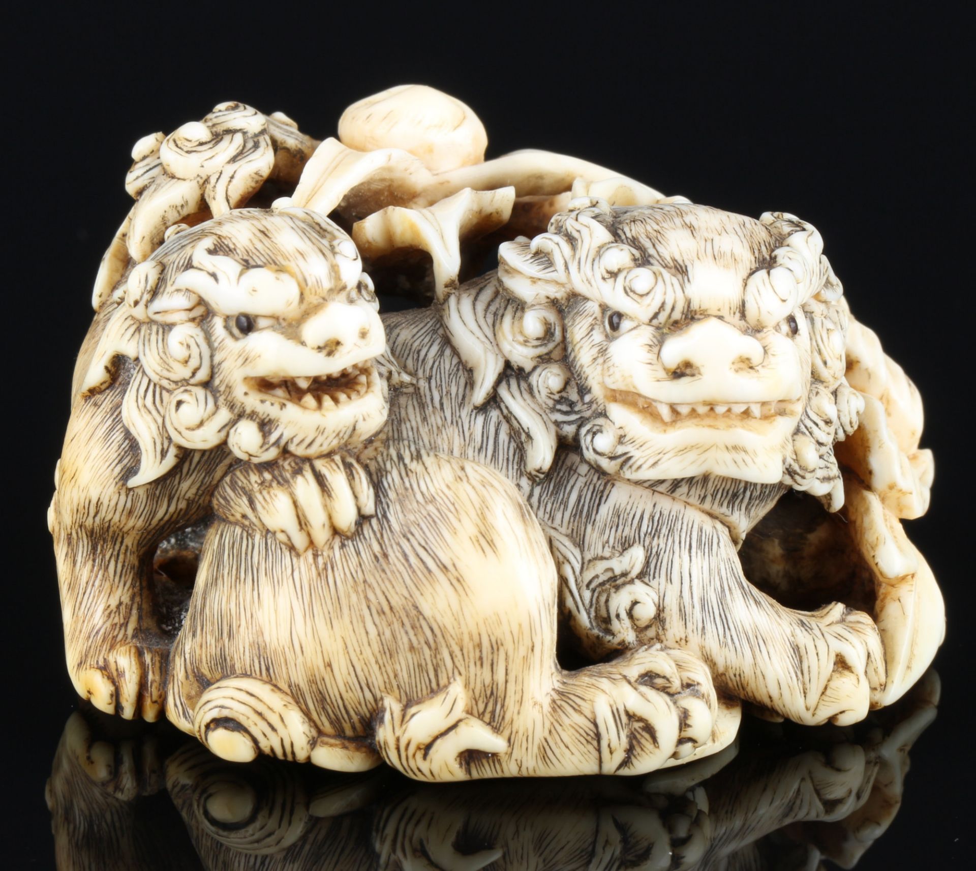 Japan 18th century, ivory Himotoshi Katabori Nezsuke Shishi pair, Edo period,