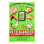 Advertising Poster Veto Glandox Animal Welfare Farm Livestock Health Vitamin