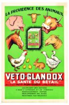 Advertising Poster Veto Glandox Animal Welfare Farm Livestock Health Vitamin