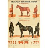 Propaganda Poster Military Horse Stallion Breeding Breeds Red Army