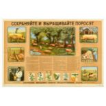 Propaganda Poster Save And Raise Piglets USSR Farming Soviet Husbandry