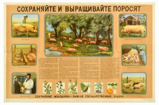 Propaganda Poster Save And Raise Piglets USSR Farming Soviet Husbandry