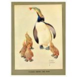 Advertising Poster Lawson Wood Father Shows The Way Penguin