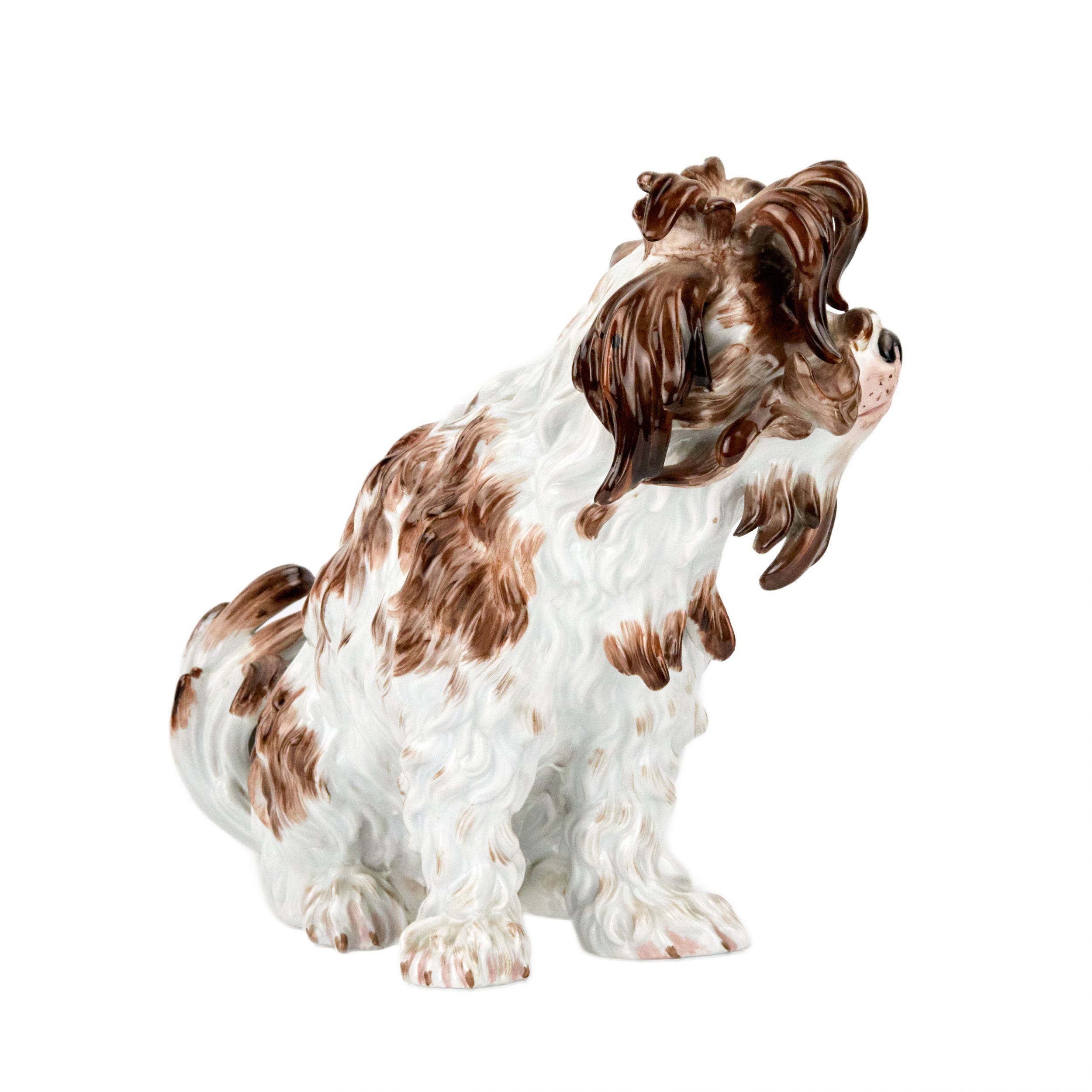 A lovely, one-piece, Meissen porcelain lapdog, 19th century. - Image 3 of 7