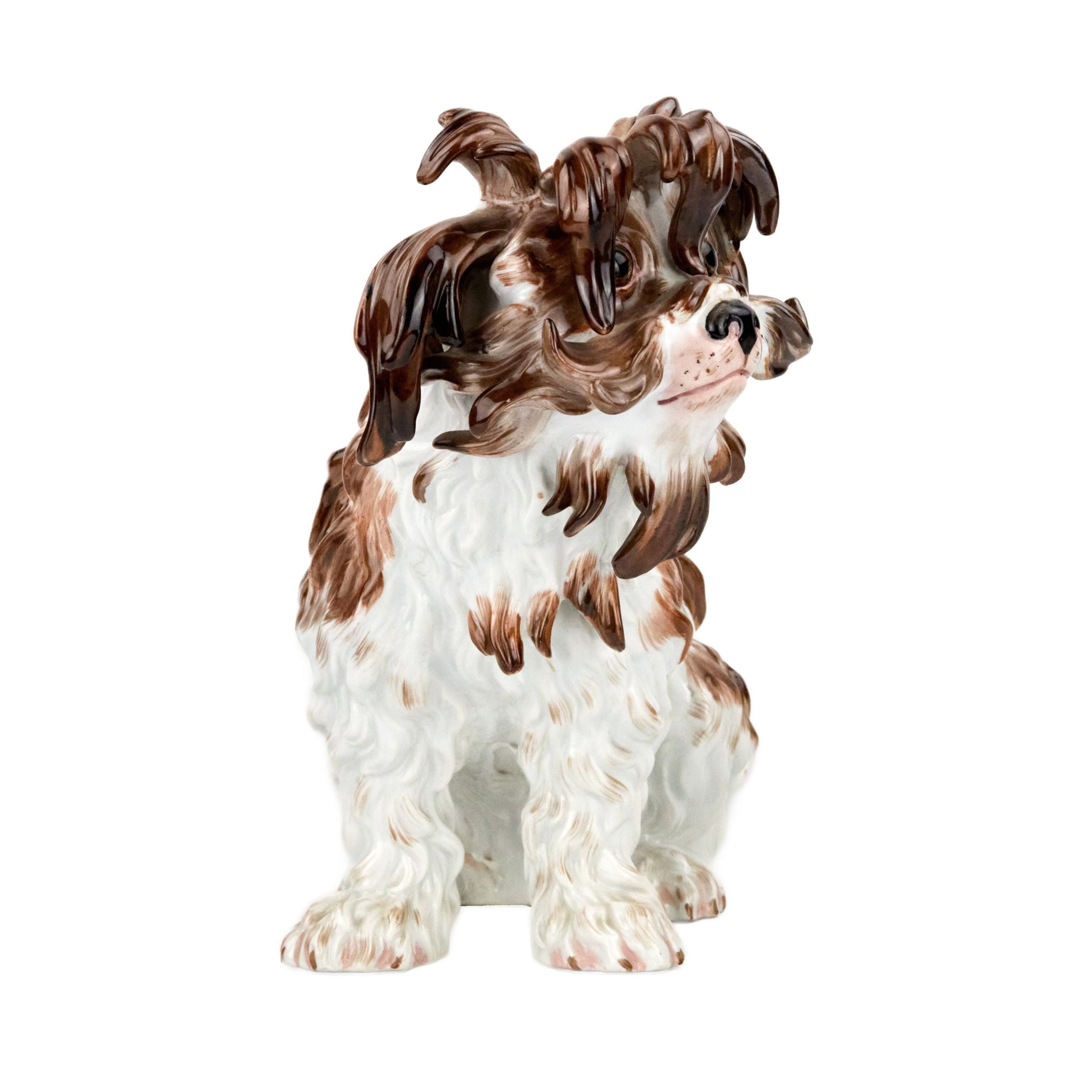 A lovely, one-piece, Meissen porcelain lapdog, 19th century. - Image 2 of 7