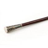 Cane with an Elegant tip