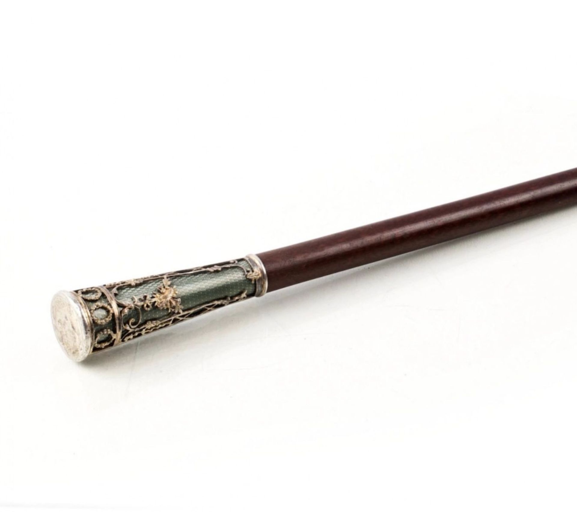 Cane with an Elegant tip