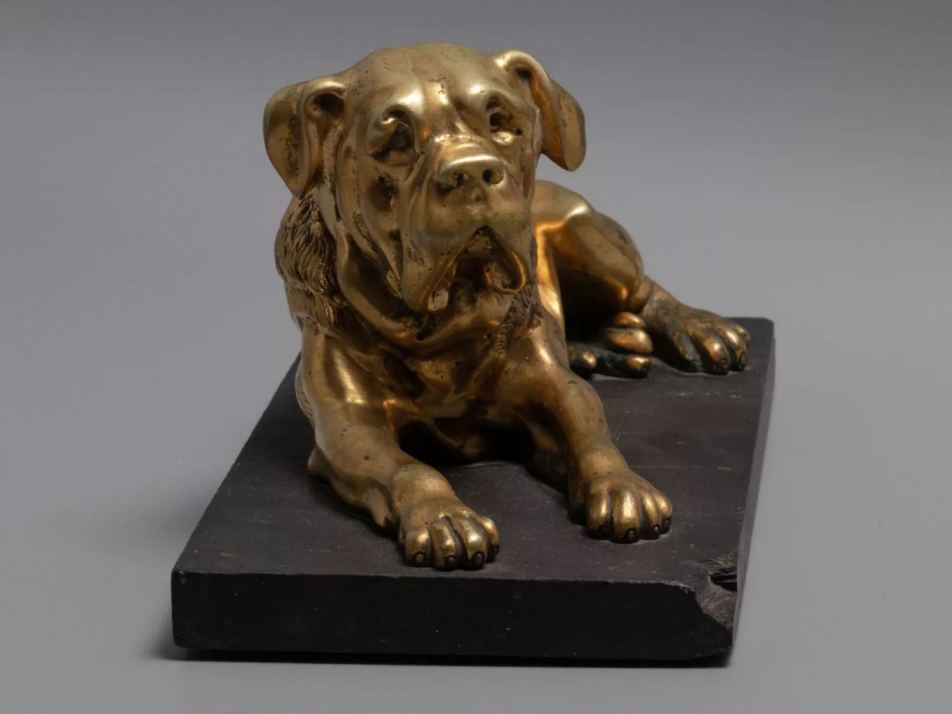 Figure - English mastiff dog, bronze on a stone stand. 19th century. - Image 7 of 9