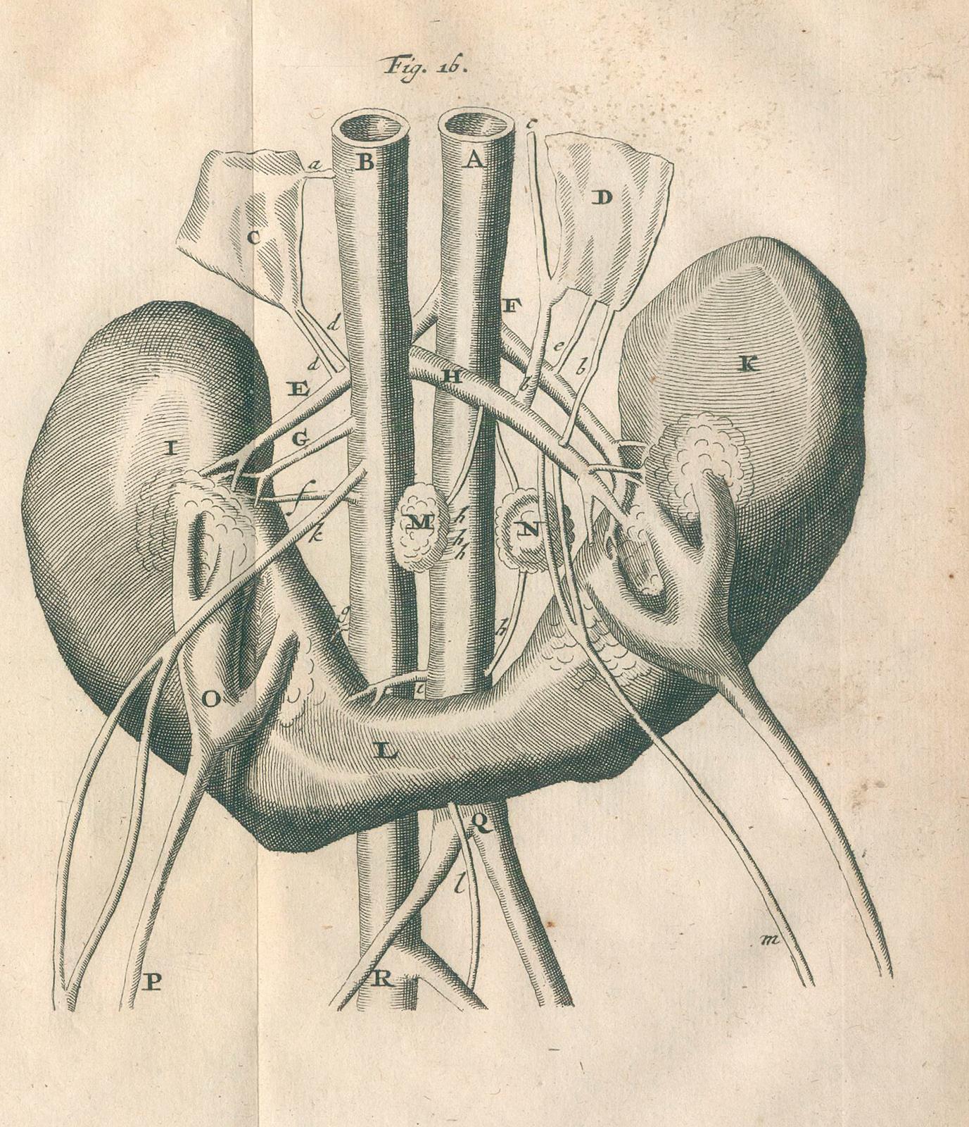 Bellini,L. - Image 4 of 4