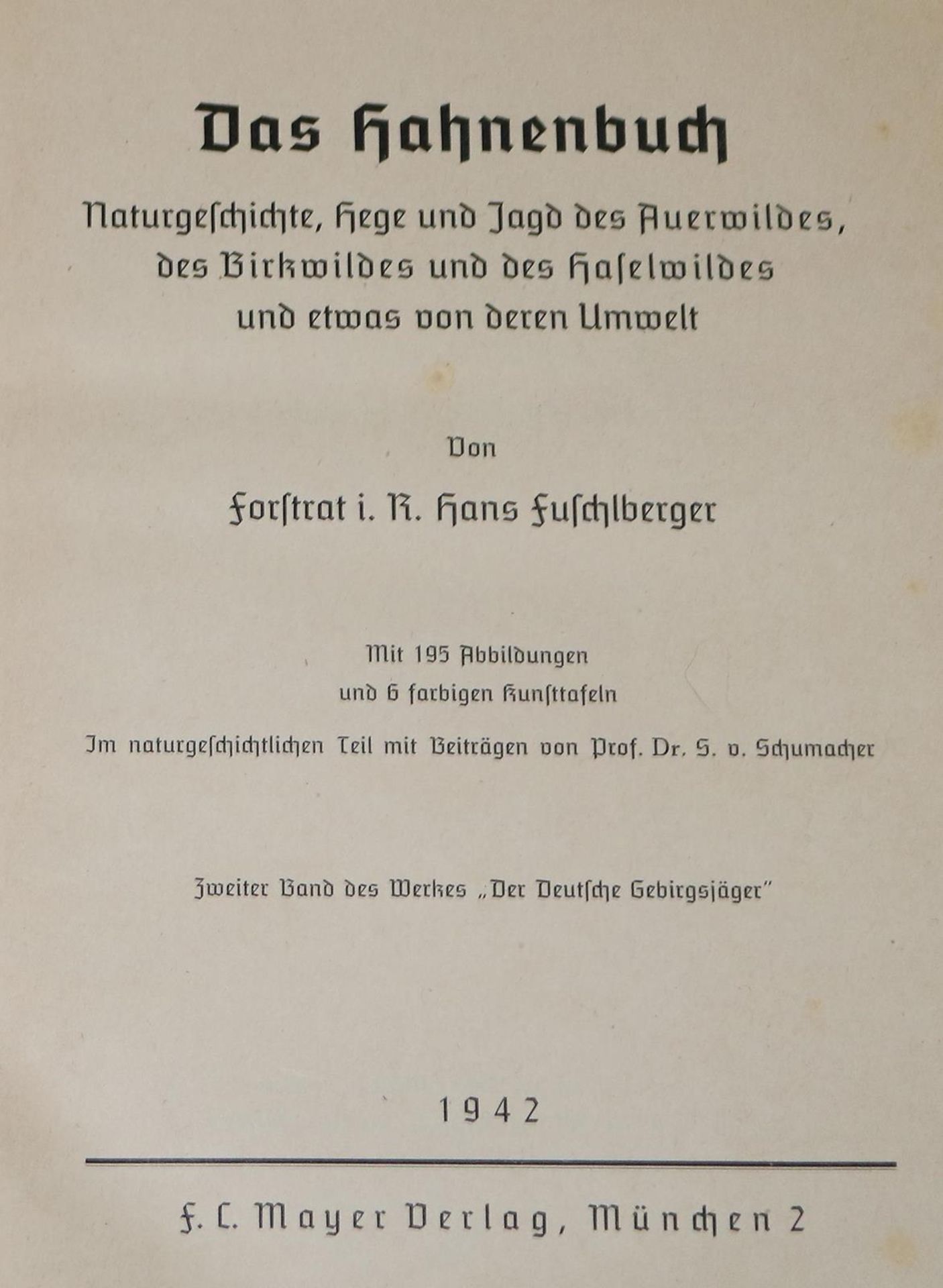 Fuschlberger,H. - Bild 2 aus 2
